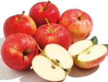 Fresh royal gala apples for sale