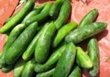 Fresh,Dry and canned cucumber