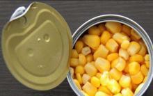 Canned Sweet Corn Kernel