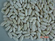  white   kidney  bean  long   shape 
