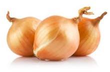 Hot Sale 2014 Grade A  Fresh   Yellow  Onion 60-80mm