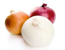 Fresh Red/Yellow /White Onion for sell