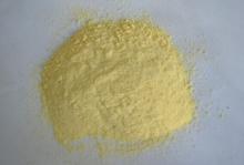 Delicious Nutritional Freeze Dried  Mango   Powder  for Food Additives
