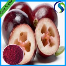 Spray Dried Black Currant Powder