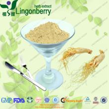 Panax quinquefolius / American ginseng root extract ginsenoside5-80%