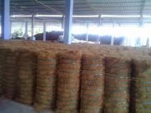 Coconut  Coir   Fiber 