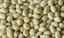New Good,Blance,peanut,kernel