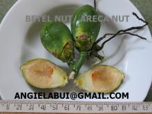 FROZEN BETEL NUT/ Betel nut leaves