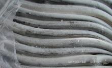  Frozen  Eel