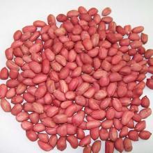 Groundnuts (Raw Peanut Kernels)
