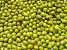 2014 new crop green mung bean