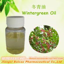 Pure Winter Green Oil For Essential Oil Manufactory
