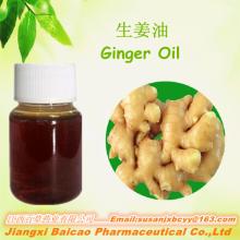 Zingiber Officinalis/Ginger Oil Extract/Ginger Essential Oil