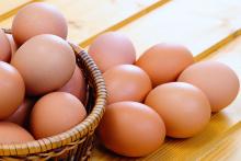 Fresh Chicken Eggs For Sale