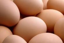 Fresh Eggs Ready to Supply