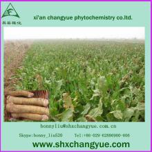 100% Natural Armoracia rusticana horseradish extract