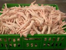 Frozen Chicken Feets For Sale