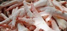Chicken Feets  export er from Thailand