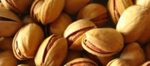 Quality Raw Pistachio Nuts For Sale