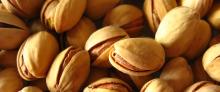 Raw Pistachio Nuts From Thailand