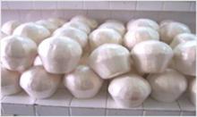 fresh coconut