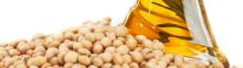  REFINED   SOYBEAN  OIL