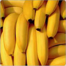 FRESH BANANAS