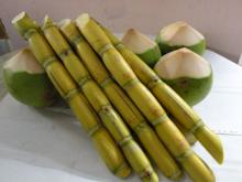 Fresh   Sugar   Cane s