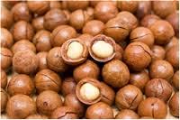  Macademia   Nuts  for sale