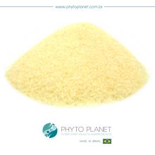 PINEAPPLE EXTRACT POWDER - ANTIOXIDANT