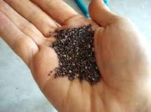 Natural Chia seeds