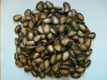 Watermelon seeds