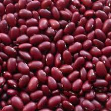Red kidney beans for sale