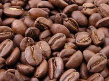 Robusta coffee beans
