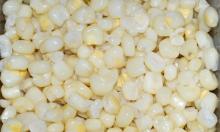  White  Corn for sale