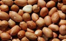 Raw Peanuts for sale