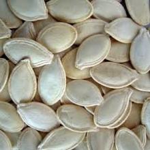  Snow   White   Pumpkin   seed s